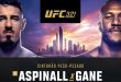 UFC 321